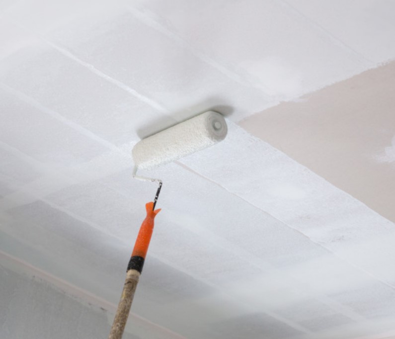PINTAR TECHO